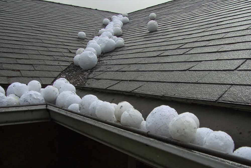 Hailstones on an asphalt shingle roof and in the gutter after a storm in Oklahoma